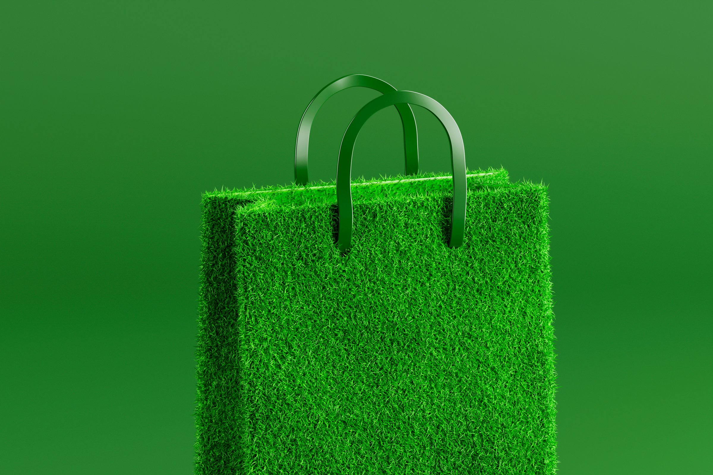 Conscious consumption - refusal buy bag on Green Friday. 3d rendering